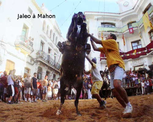 jaleo